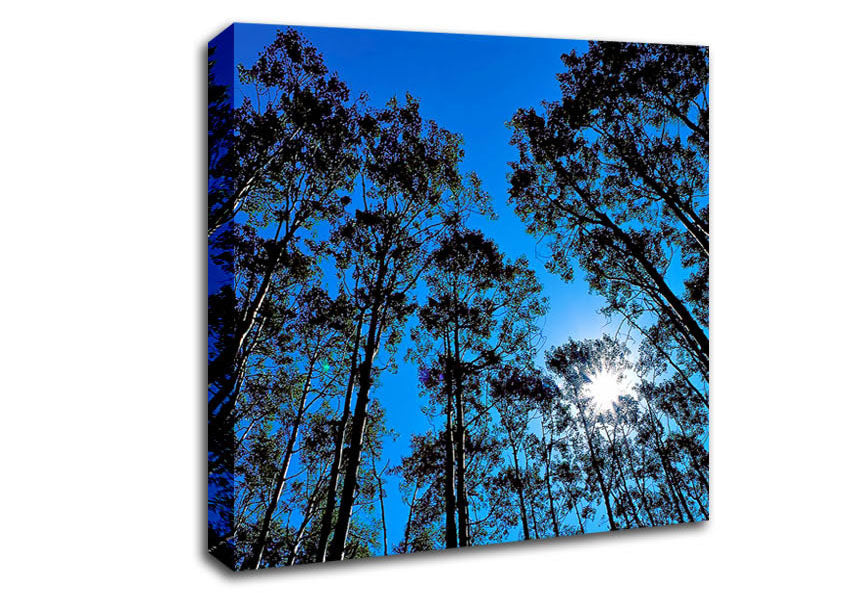 Blue Tree Top Skys Canvas Wall Art