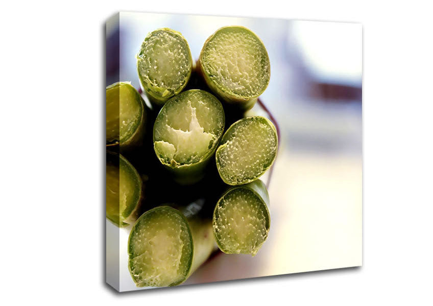 Asparagus Ends Canvas Wall Art