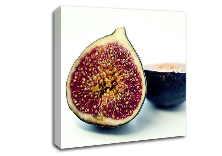 Figs Canvas Wall Art