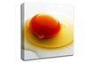Single Egg Canvas Wall Art