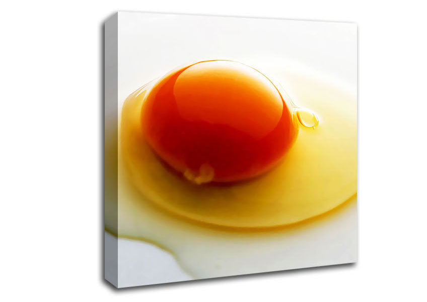 Single Egg Canvas Wall Art