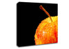 Red Delicious Apple Canvas Wall Art