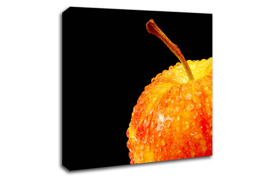 Red Delicious Apple Canvas Wall Art