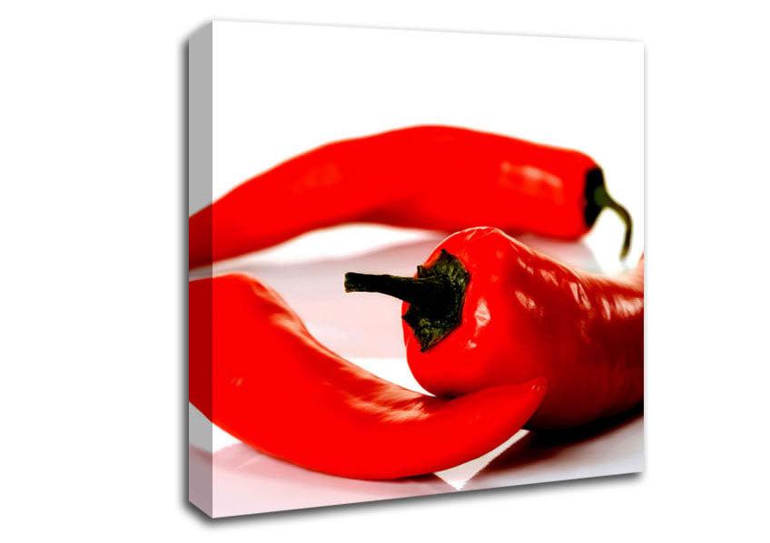 Red Pepper Trio Canvas Wall Art