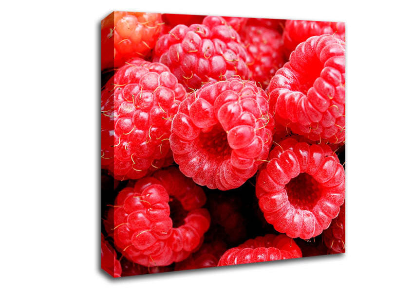 Raspberry Delight Canvas Wall Art