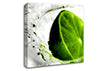 Lime Splash Canvas Wall Art