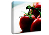 Tomato Stalk Canvas Wall Art