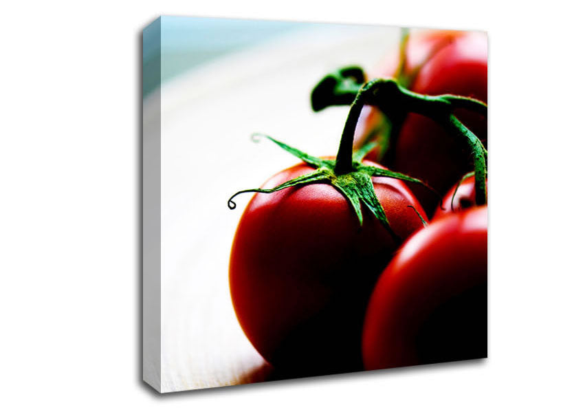 Tomato Stalk Canvas Wall Art