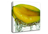 Exotic Splash Canvas Wall Art