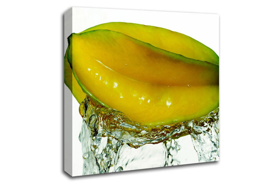 Exotic Splash Canvas Wall Art
