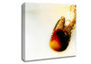 Peach Water Fizz Canvas Wall Art