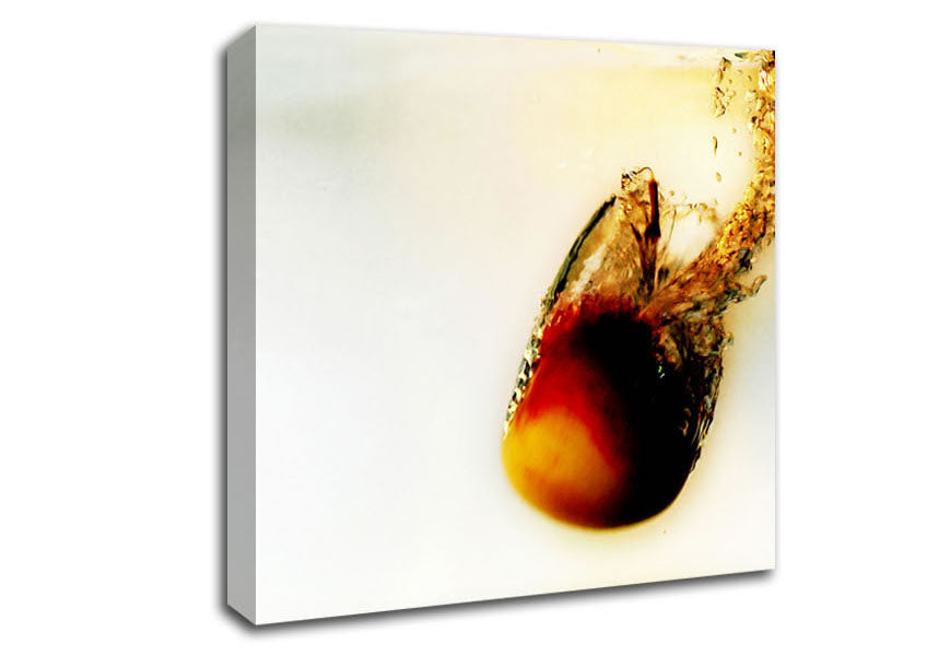 Peach Water Fizz Canvas Wall Art