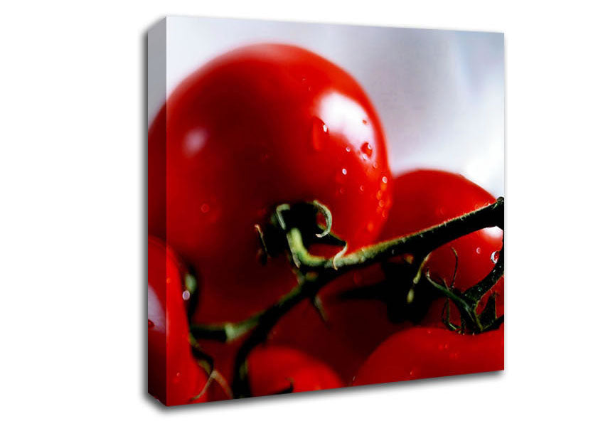 Cherry Tomato Vine Canvas Wall Art