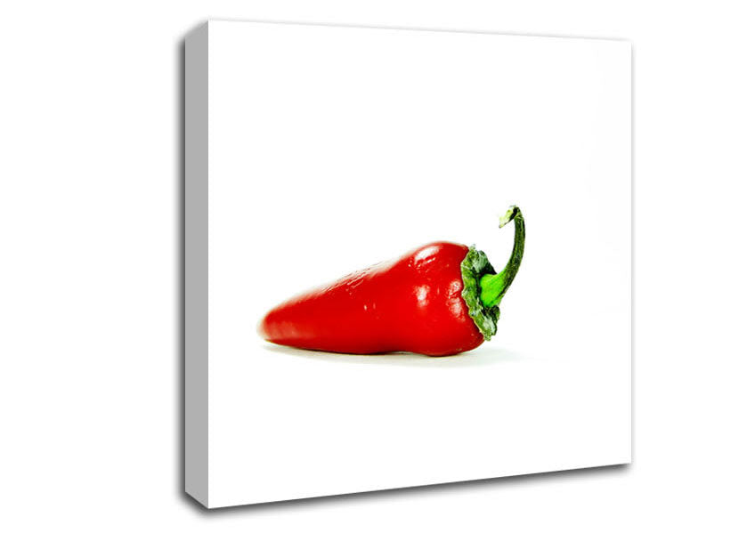 Hot Pepper Canvas Wall Art