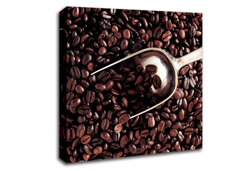 Coffee Bean Scoop Canvas Wall Art