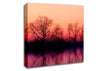 Trees At Dusk Canvas Wall Art