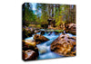 Secluded River Retreat Canvas Wall Art