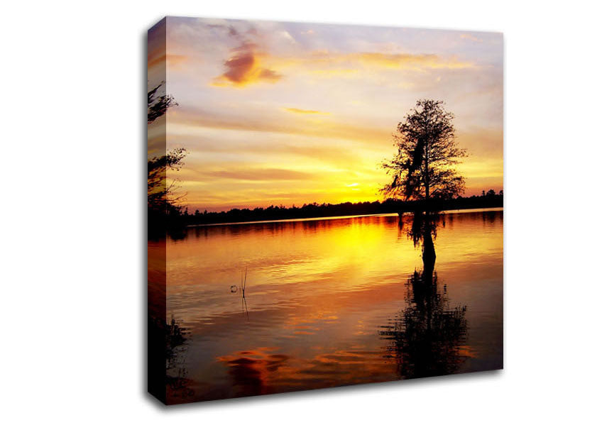 River Tree Sunset Canvas Wall Art