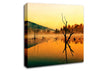 Morning Mist Over The Lake Canvas Wall Art