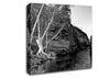 B n W Valley Still Waters Canvas Wall Art