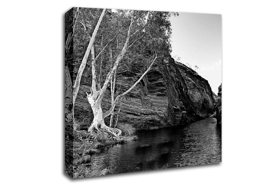 B n W Valley Still Waters Canvas Wall Art