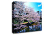 Cherry Blossom Trees Canvas Wall Art