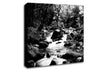 The Stream In The Woodland B n W Canvas Wall Art