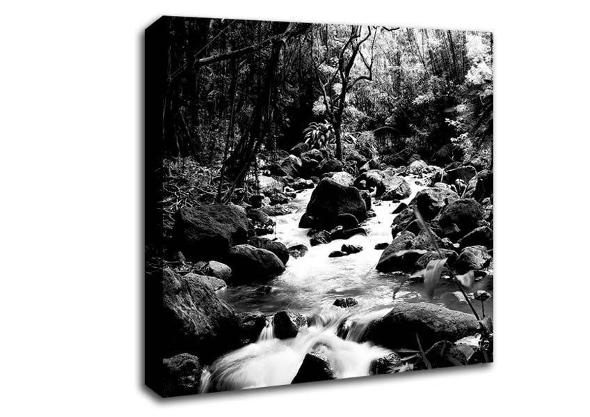 The Stream In The Woodland B n W Canvas Wall Art