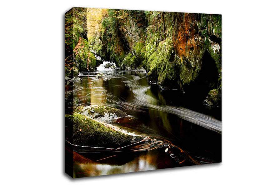 Woodland Stream Flows Canvas Wall Art