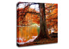 Orange Winter Lake Reflections Canvas Wall Art