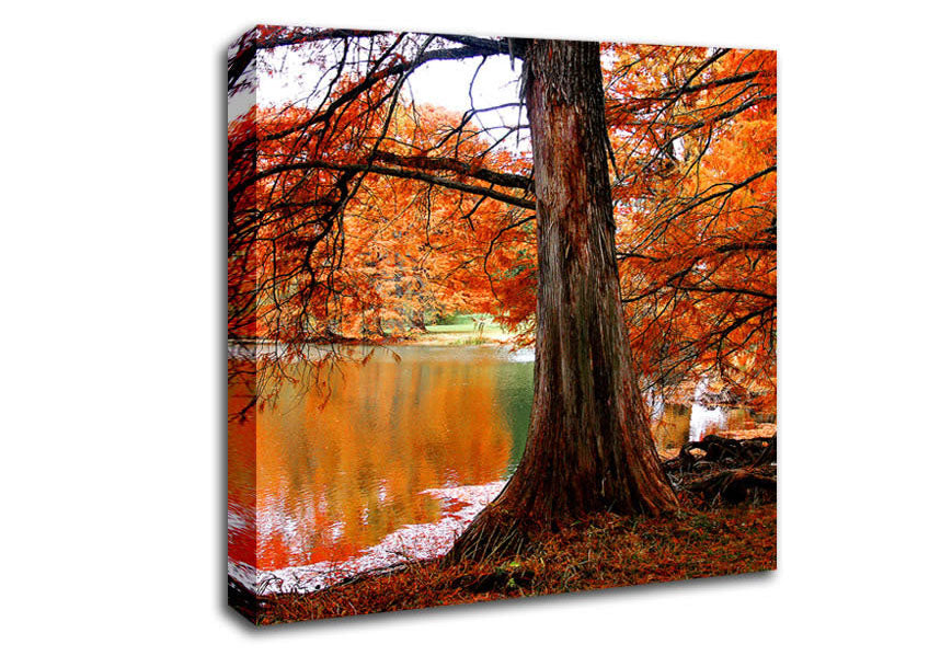 Orange Winter Lake Reflections Canvas Wall Art