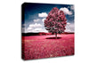 Pink Field Canvas Wall Art