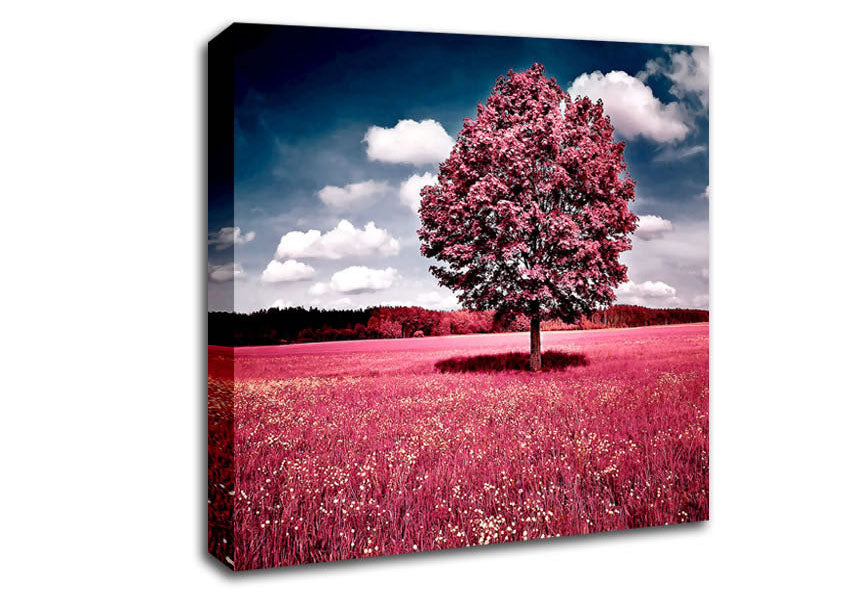 Pink Field Canvas Wall Art