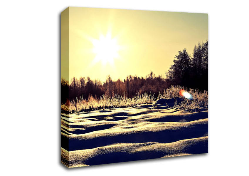 Sunny Snowy Day Canvas Wall Art