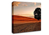 Lonesome Tree In The Field Autumn Canvas Wall Art