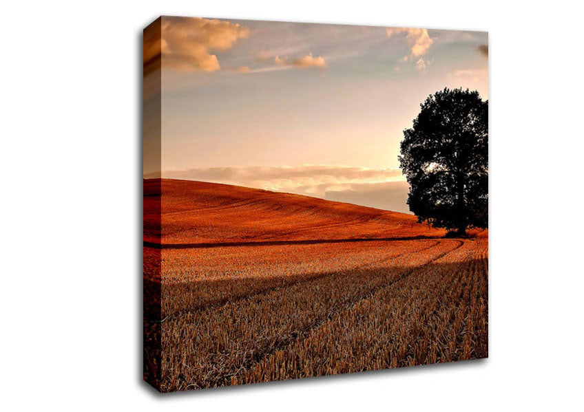 Lonesome Tree In The Field Autumn Canvas Wall Art