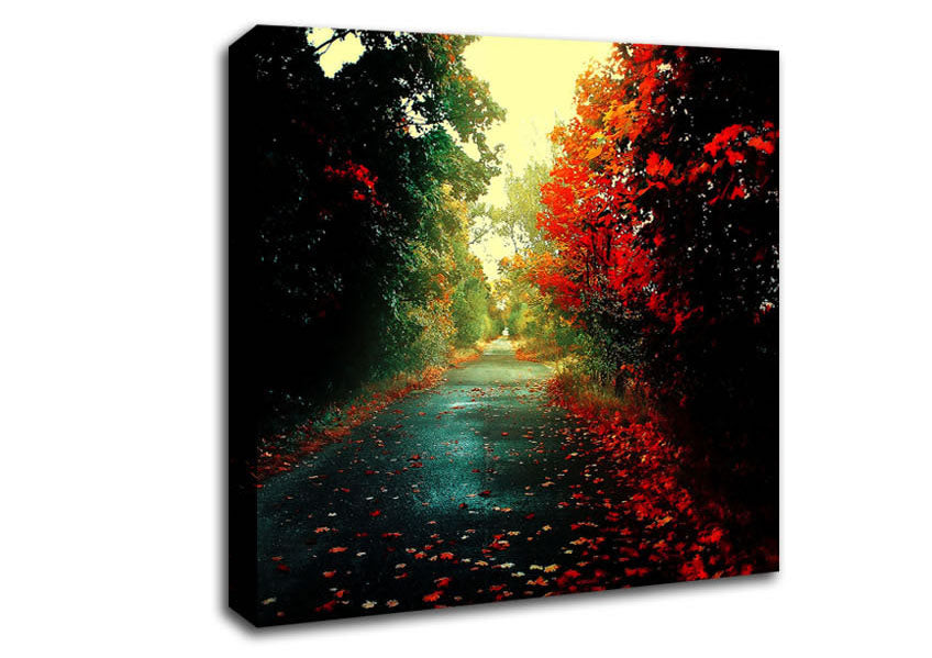 Red Trees On The Autumn path Canvas Wall Art