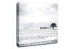 Empty Field Winter Canvas Wall Art