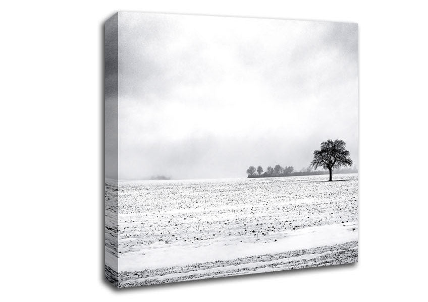Empty Field Winter Canvas Wall Art