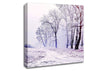 Beautiful Snowy Forest Canvas Wall Art