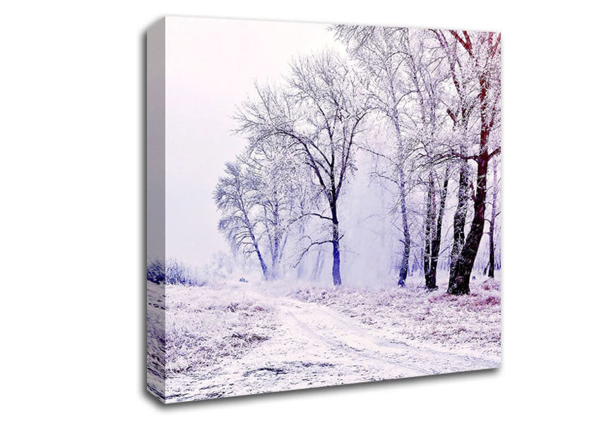 Beautiful Snowy Forest Canvas Wall Art