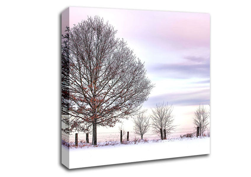 Trees And Fence Winter Canvas Wall Art