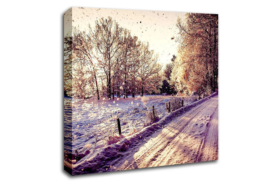 Pathway Winter Canvas Wall Art