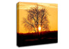 Sun Through The Golden Tree Canvas Wall Art