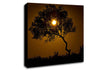 Chocolate Sunset Tree Canvas Wall Art