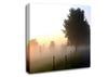 Mist In The English Countryside Canvas Wall Art