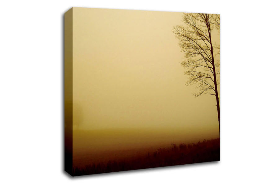 Naked Trees Canvas Wall Art