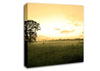 Summer Morning Mist Canvas Wall Art