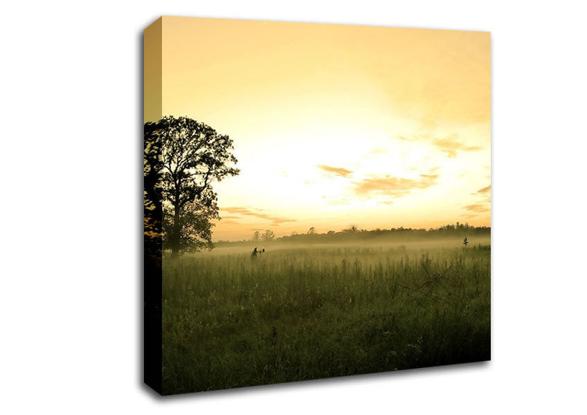 Summer Morning Mist Canvas Wall Art