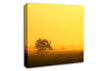 Misty Morning Canvas Wall Art